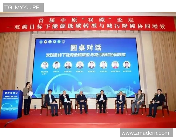 武汉乒乓球队转型之路的挑战与机遇全景观察