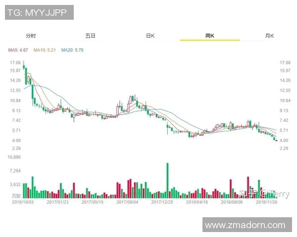 武汉极限运动队力量表现的数据分析与趋势研究